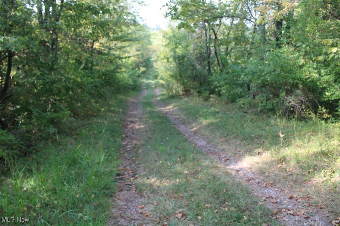 Leffler Road Roseville, OH 43777 - Photo 2 of 49 View of road