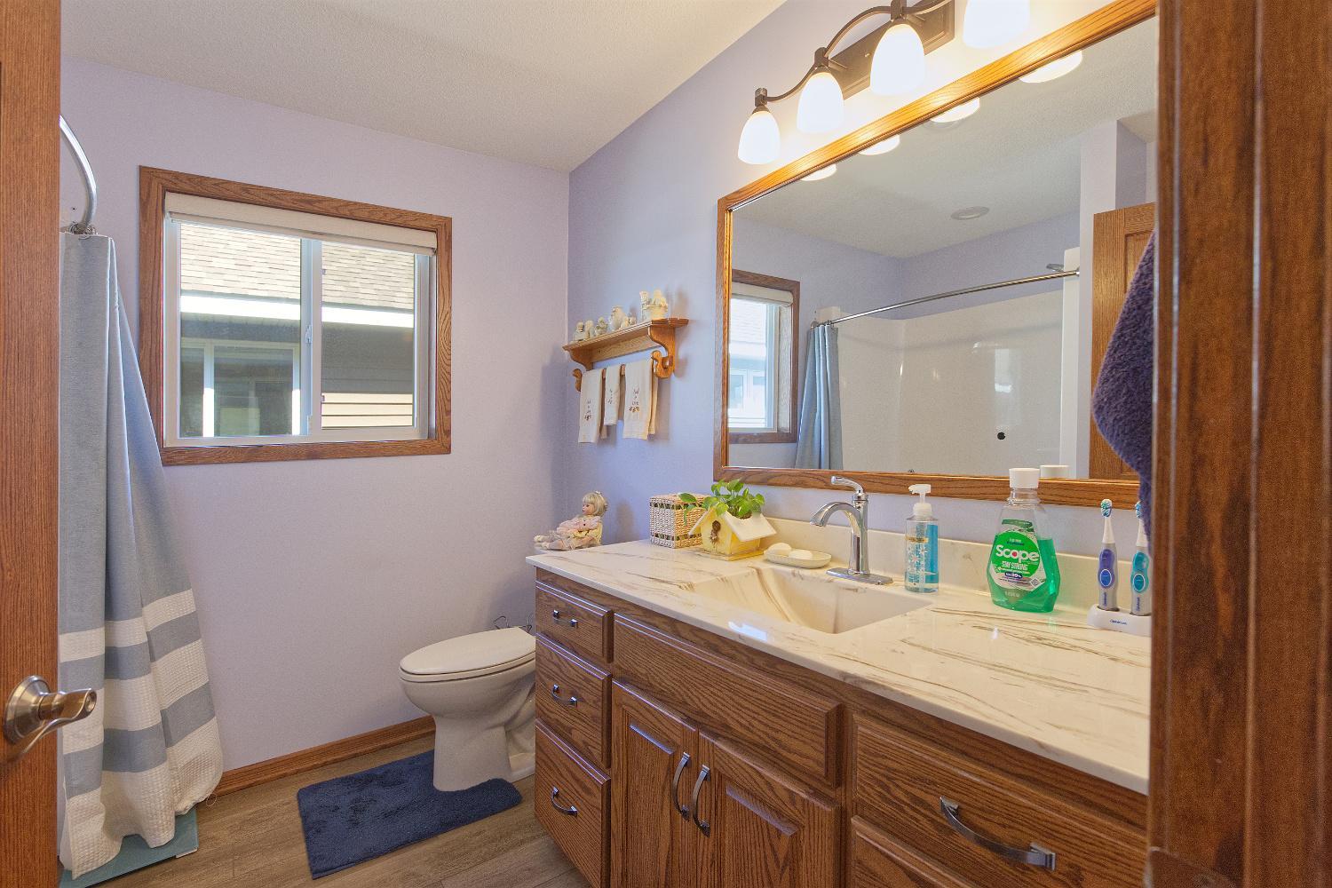 446 Lake Trail Winsted, MN 55395 - Photo 20 of 36