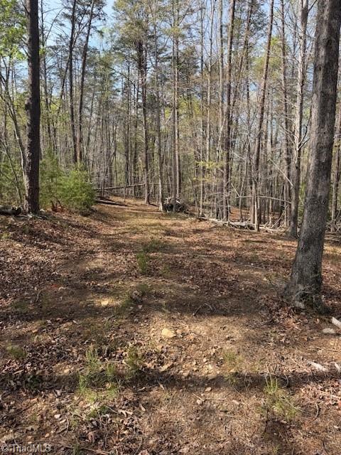 0 Crestview Road Danbury, NC 27016 - Photo 8 of 13 Gallery Image 8