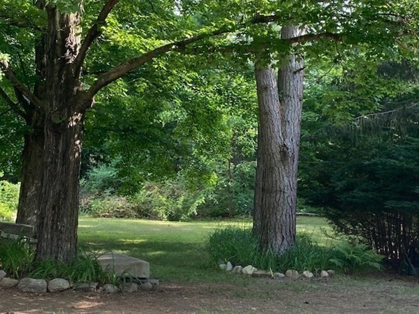 245 Pelham Road Amherst, MA 01002 - Photo 36 of 40
