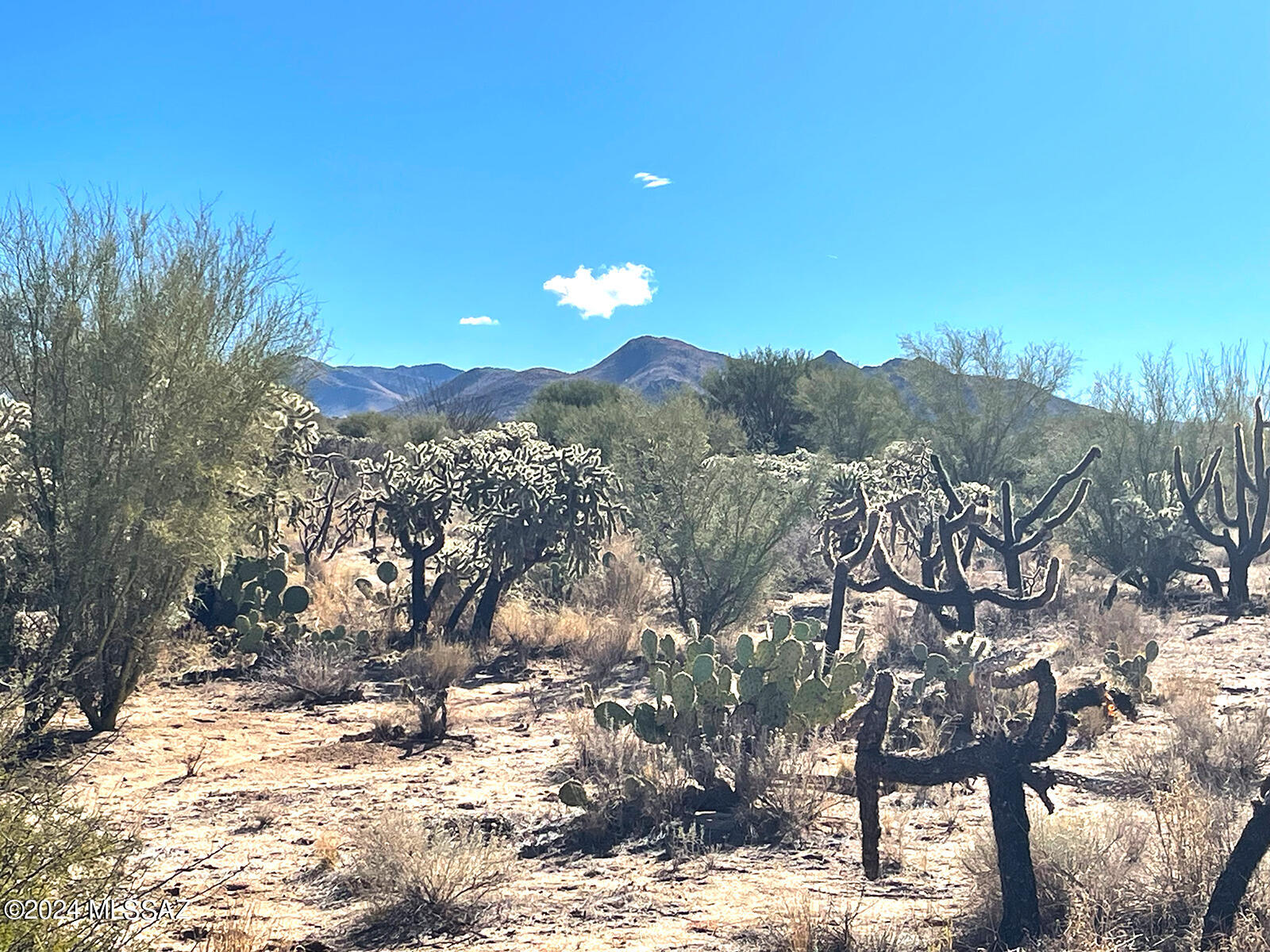 13411 South Sierrita Mountain Road, Unit 497 Tucson, AZ 85736 - Photo 1 of 8