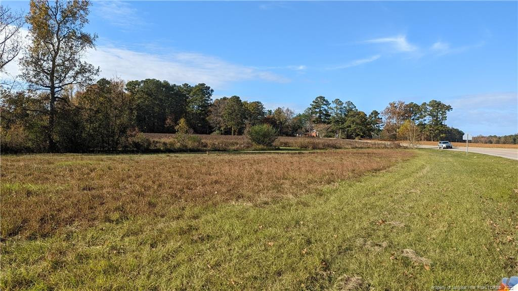 Lot 1 Union Church Road Cameron, NC 28326 - Photo 3 of 4 Photo 3