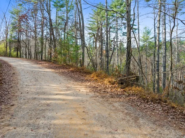 $28,400 | 340 Morton Drive, Ellijay, GA 30540