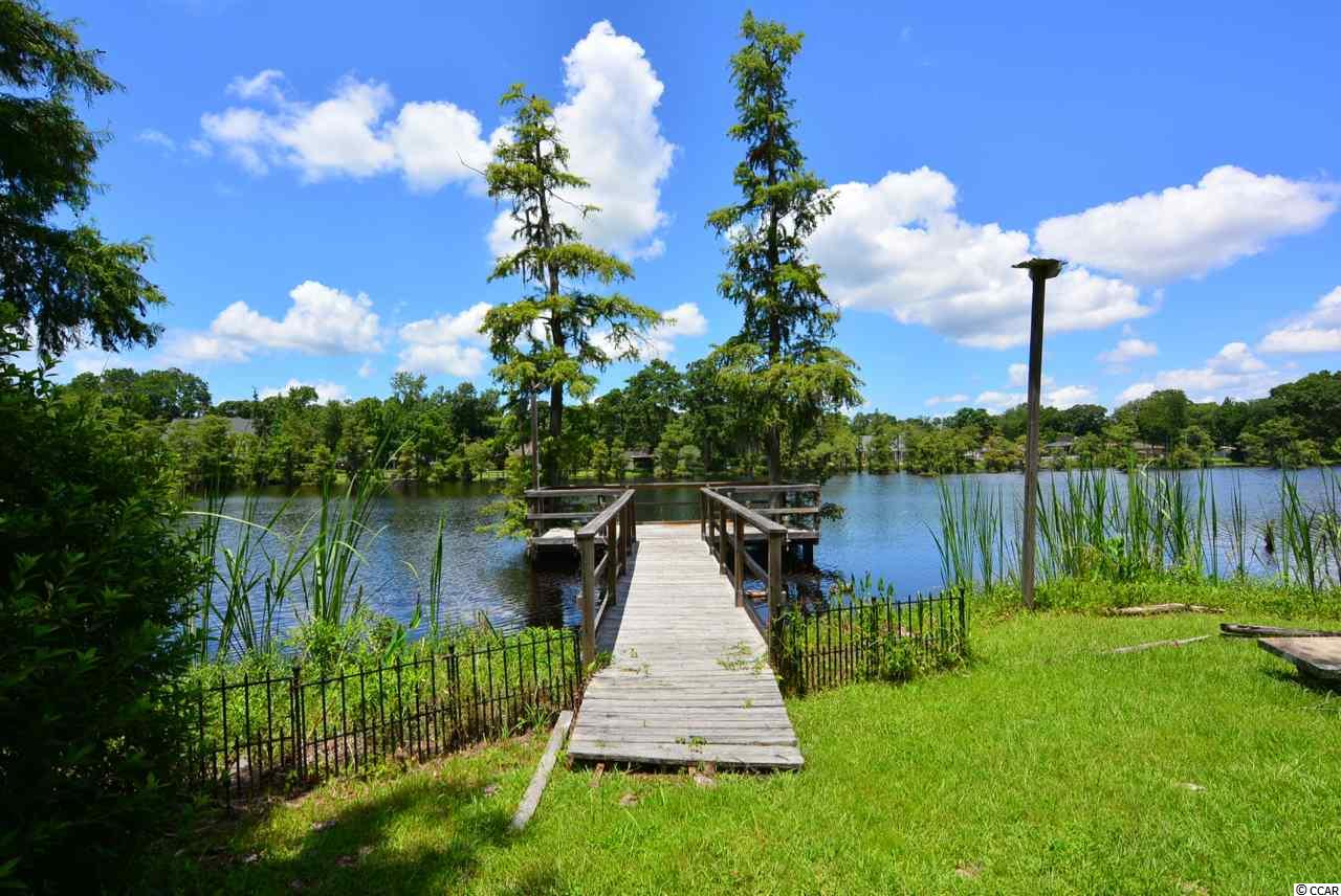 197 County Rd S-22-404 Georgetown, SC 29440 - Photo 22 of 25 Gallery Image 22