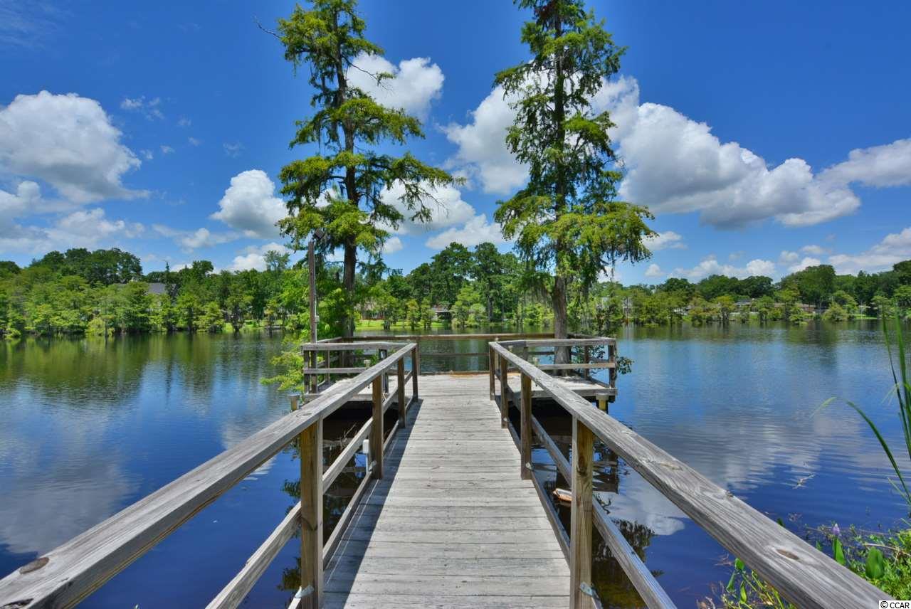 197 County Rd S-22-404 Georgetown, SC 29440 - Photo 23 of 25 Gallery Image 23