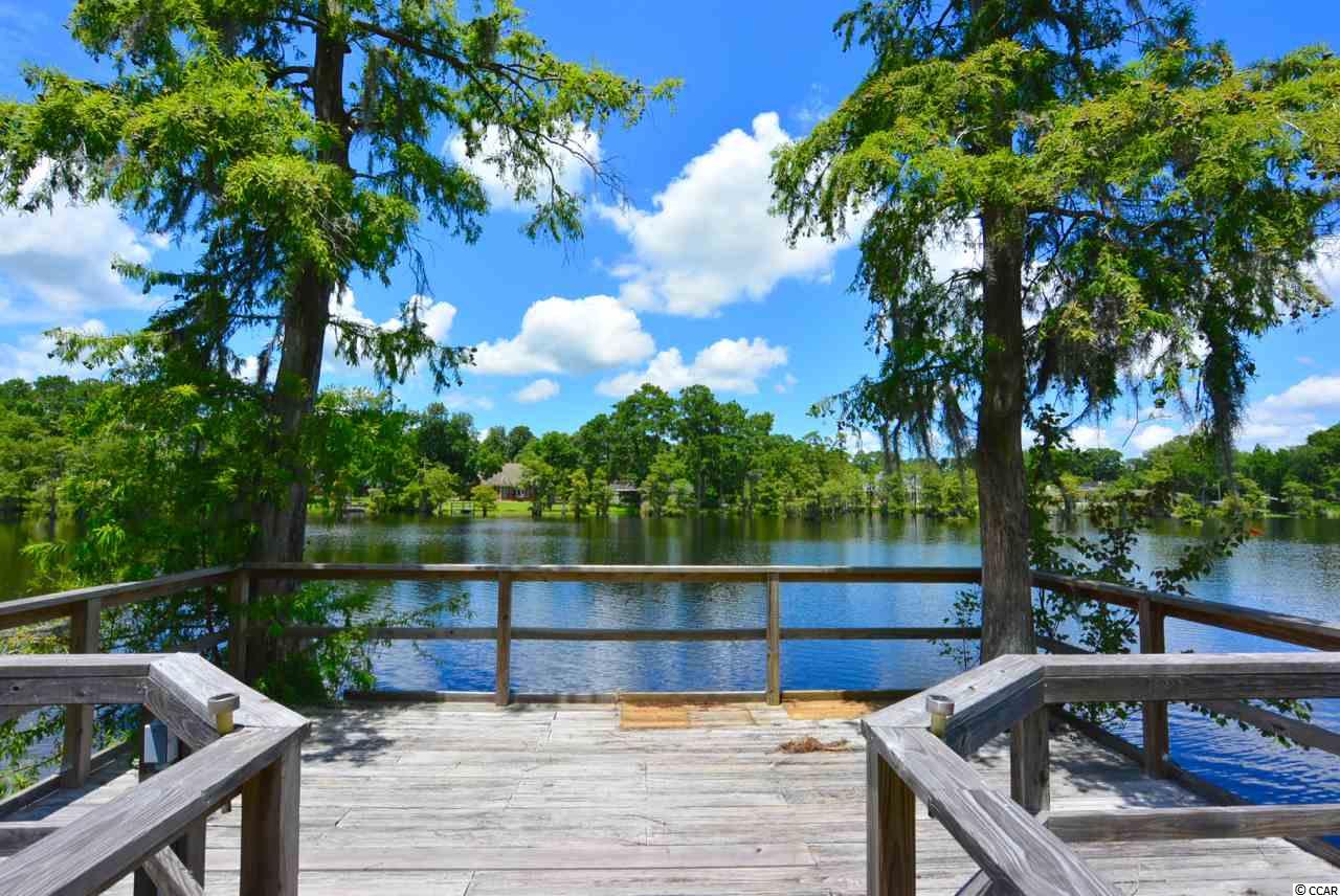 197 County Rd S-22-404 Georgetown, SC 29440 - Photo 24 of 25 Gallery Image 24