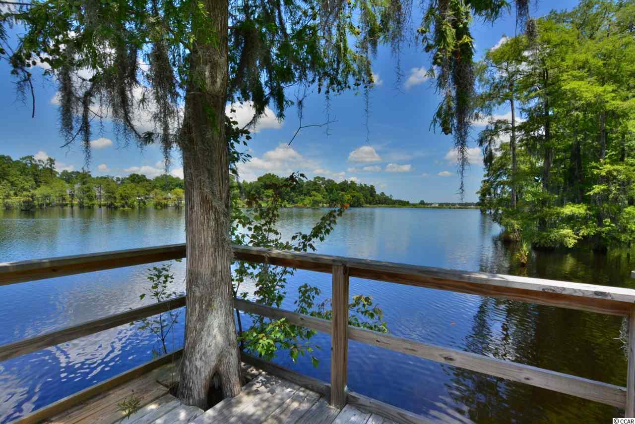 197 County Rd S-22-404 Georgetown, SC 29440 - Photo 25 of 25 Gallery Image 25