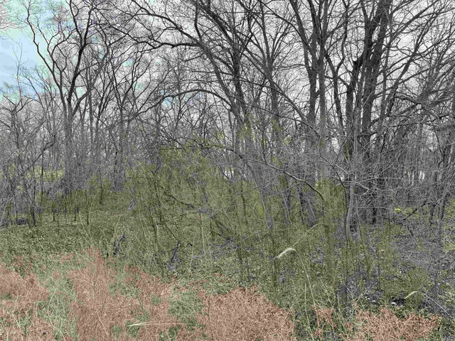 $54,500 | Lot 17 South Pow Wow, Beloit, WI 53511