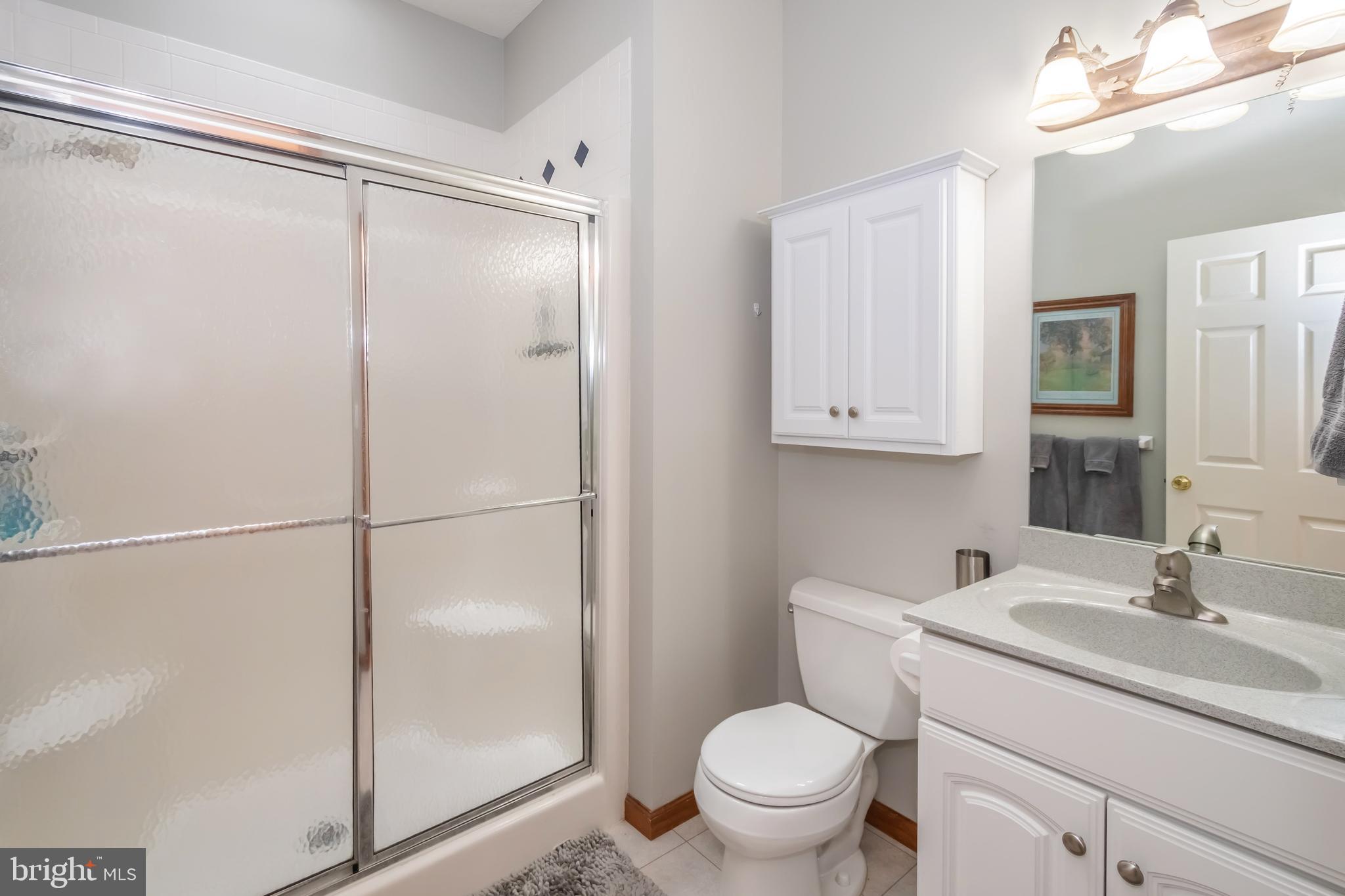 592 Marsh Hill Road McHenry, MD 21541 - Photo 25 of 51 a bathroom with a shower sink vanity and toilet