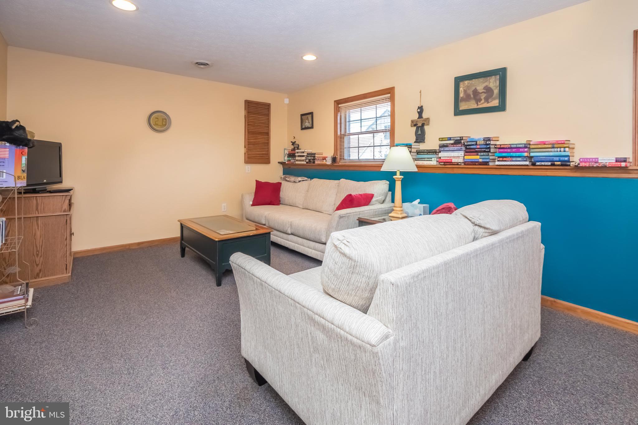 592 Marsh Hill Road McHenry, MD 21541 - Photo 35 of 51 a living room with furniture and a flat screen tv