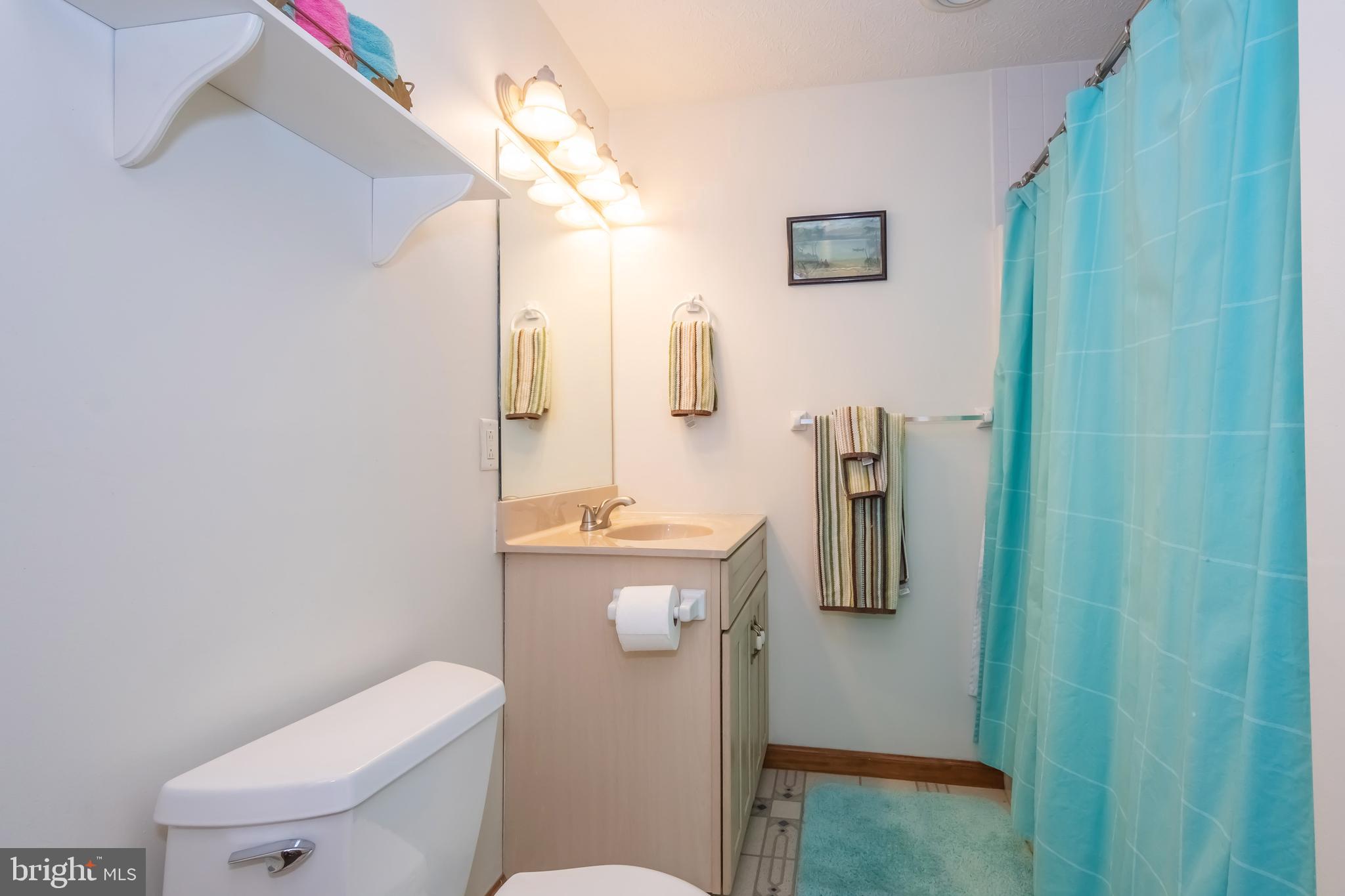 592 Marsh Hill Road McHenry, MD 21541 - Photo 39 of 51 a bathroom with a toilet sink and mirror