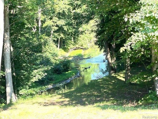 2857 Flint River Road Lapeer, MI 48446 - Photo 49 of 65