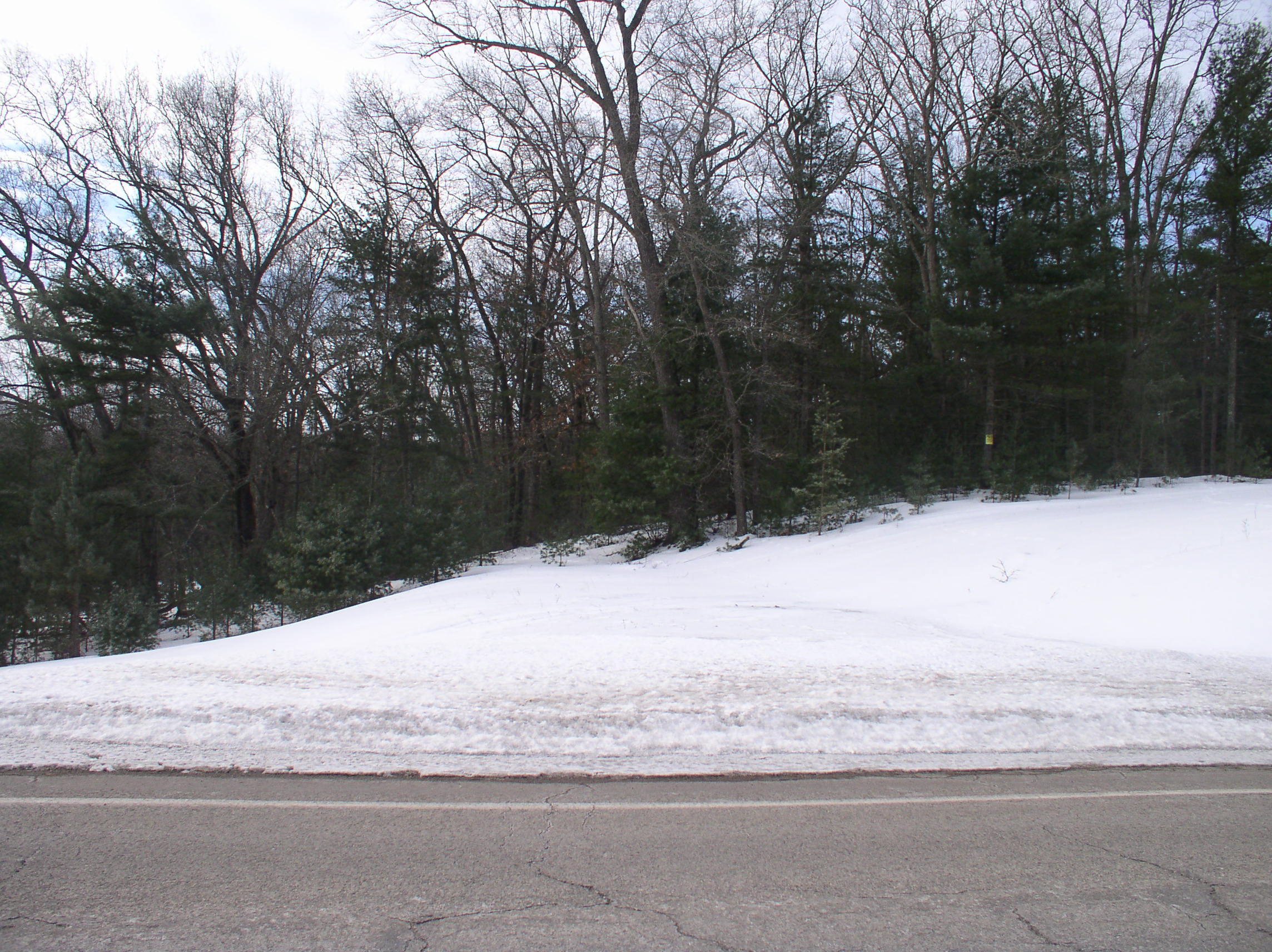 Parcel A Parcel A Adamczak Road Manistee, MI 49660 - Photo 3 of 5 P1010069