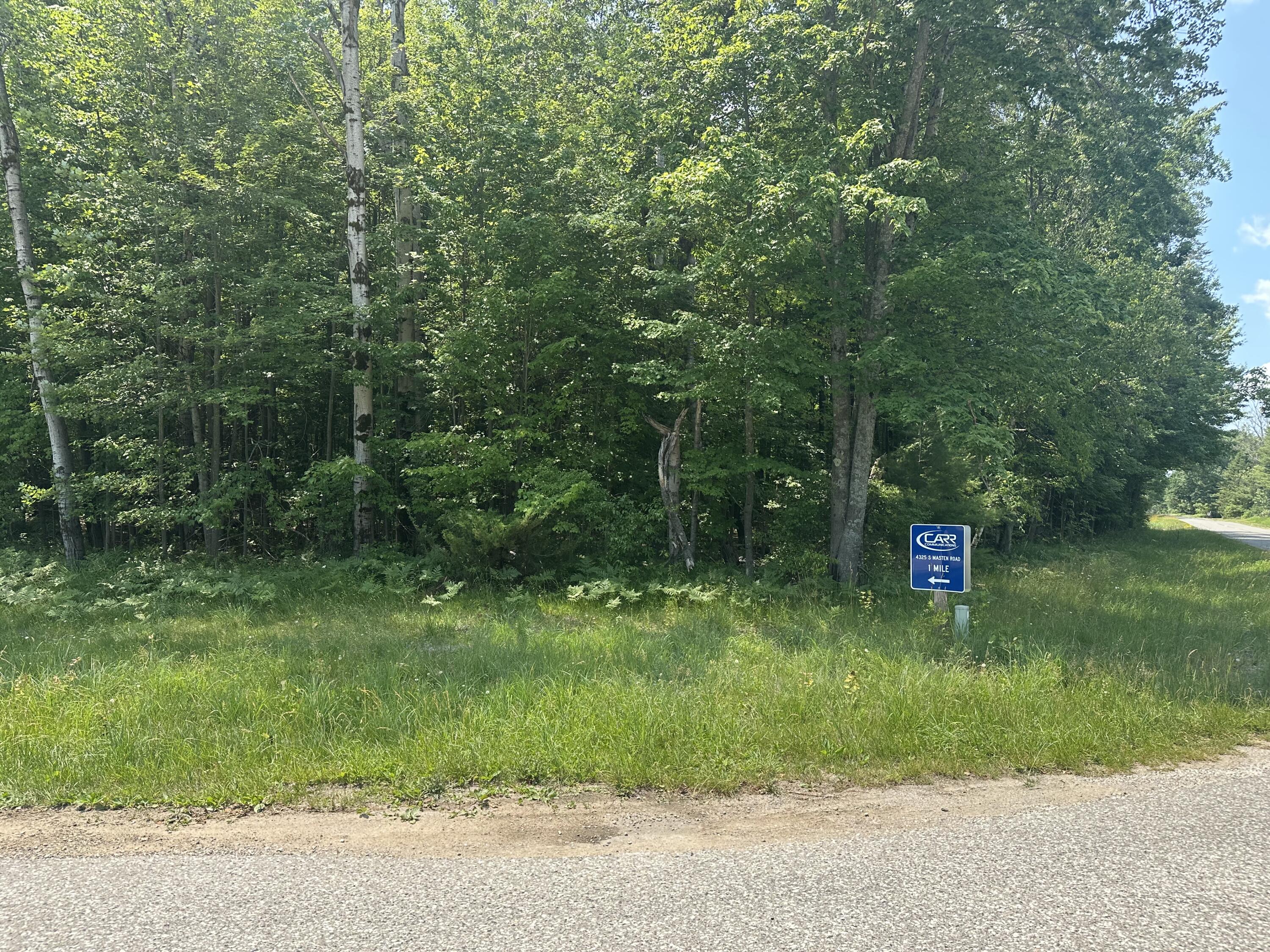 8747 East Kinney Road Branch, MI 49402 - Photo 2 of 10 Corner