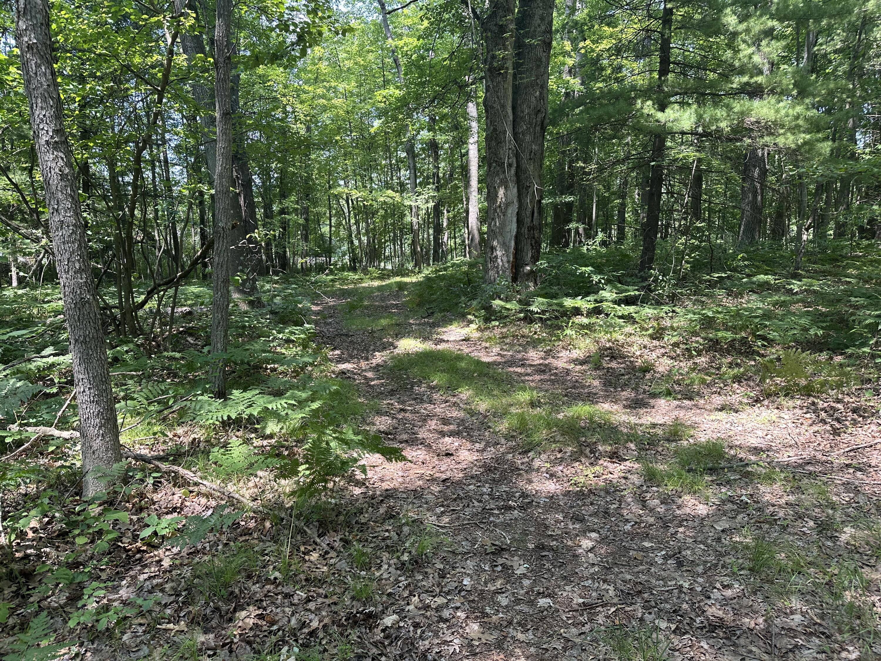 8747 East Kinney Road Branch, MI 49402 - Photo 7 of 10 IMG_6939