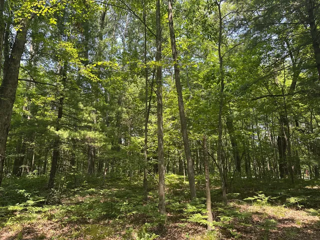 $47,900 | 8747 East Kinney Road, Branch, MI 49402