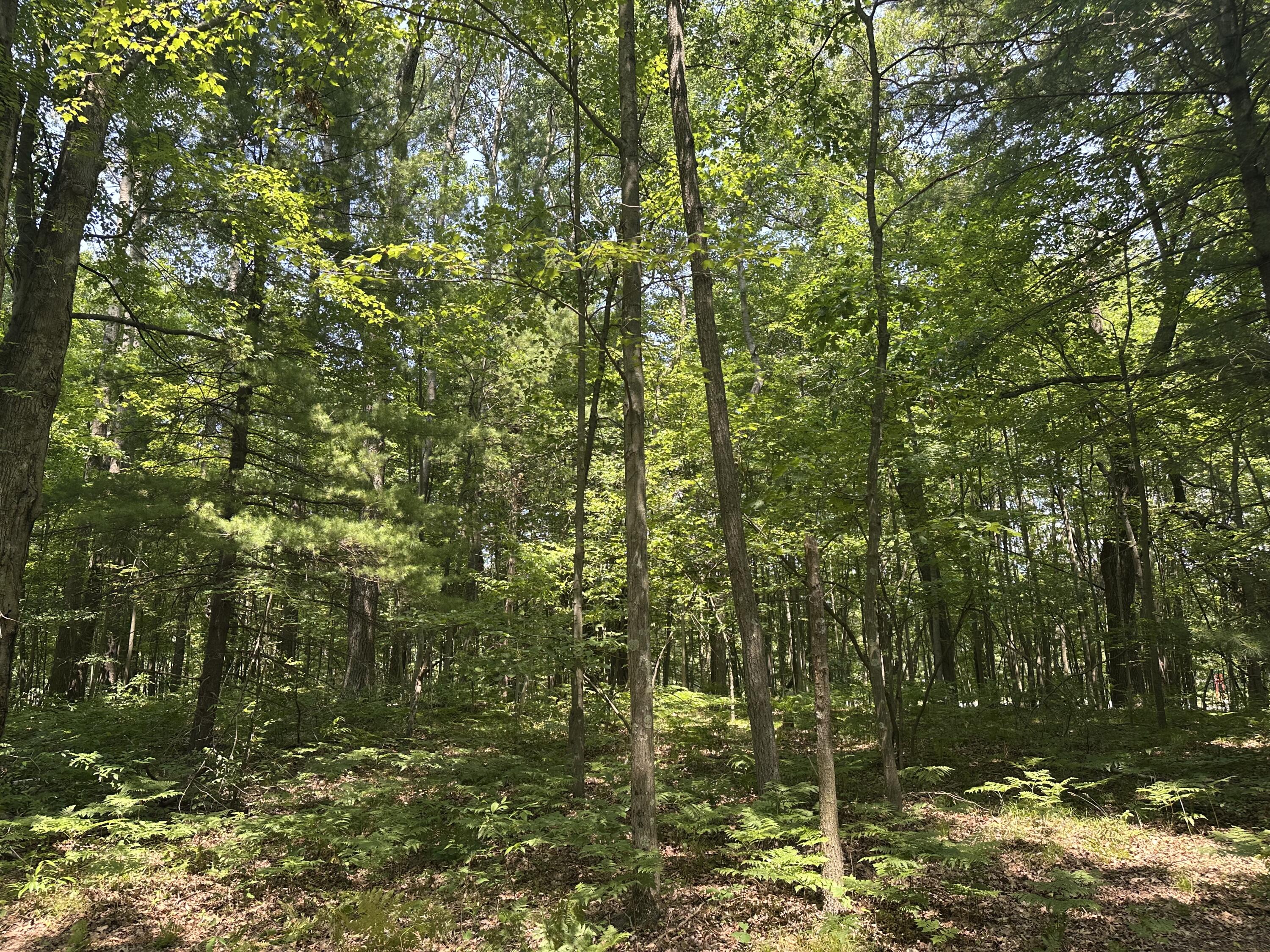 8747 East Kinney Road Branch, MI 49402 - Photo 8 of 10 IMG_6940