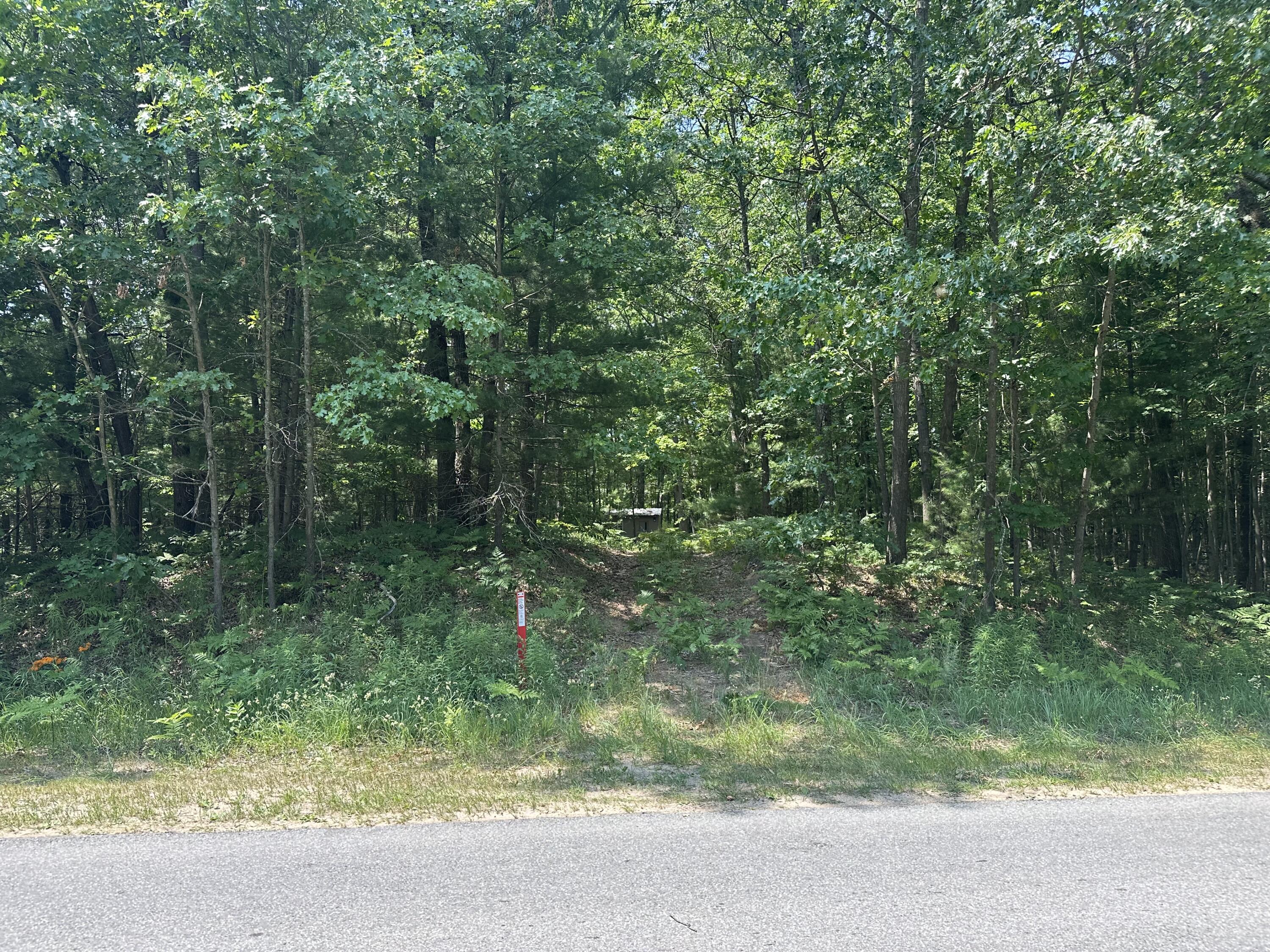 8747 East Kinney Road Branch, MI 49402 - Photo 9 of 10 IMG_6941