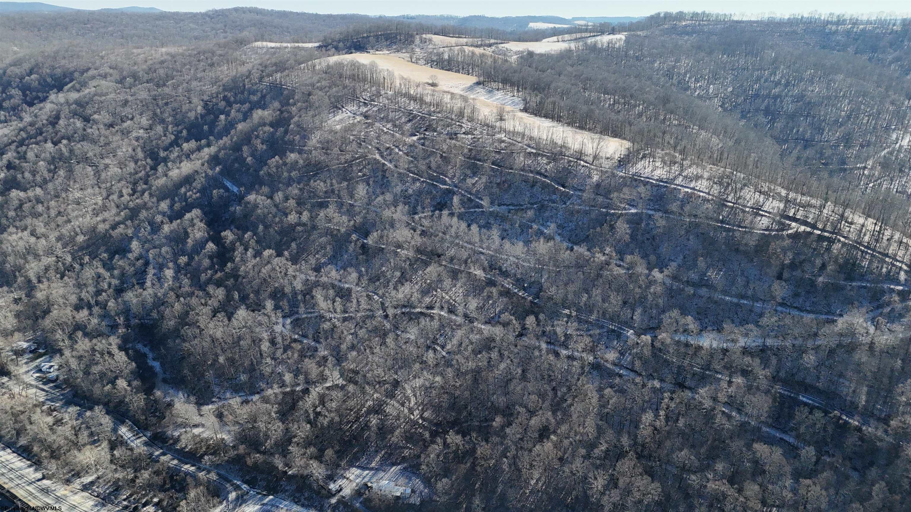 Tbd Lantz Ridge Road Rowlesburg, WV 26425 - Photo 9 of 23 Gallery Image 9