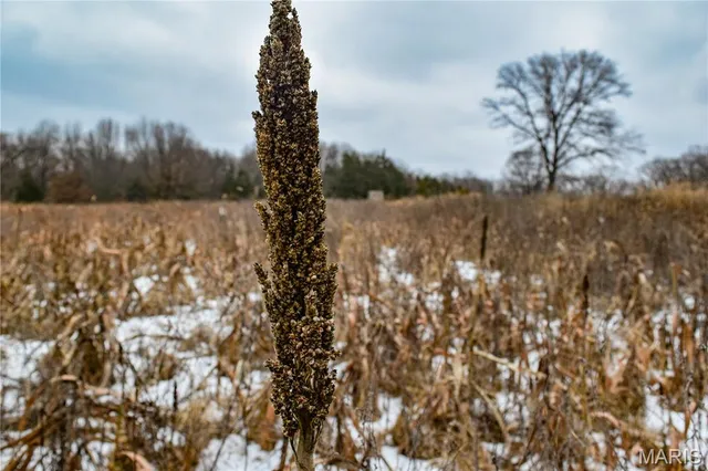 $825,000 | 6281 County Road 133, Fulton, MO 65251