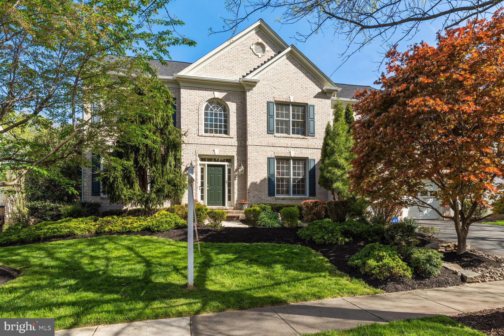 Picture Perfect in The Heart of Potomac