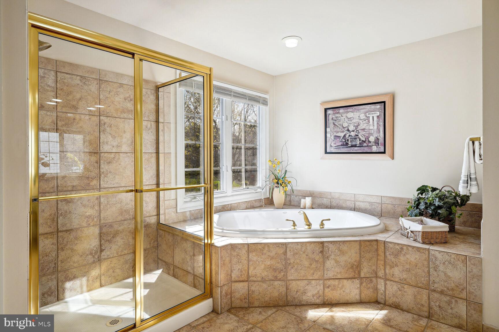 11308 Ridge Mist Terrace Potomac, MD 20854 - Photo 19 of 31 Large Corner Soaking Tub and Glass Walk-In Shower