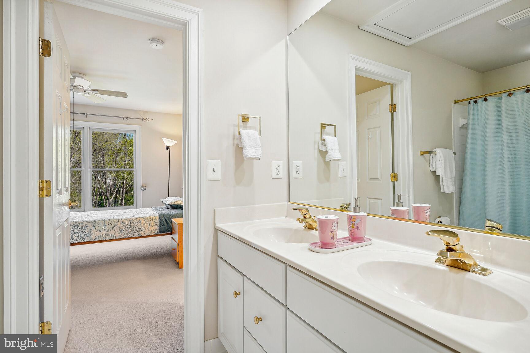 11308 Ridge Mist Terrace Potomac, MD 20854 - Photo 23 of 31 Shared Full Bath #3