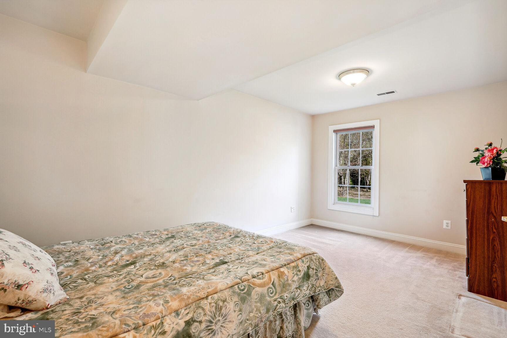 11308 Ridge Mist Terrace Potomac, MD 20854 - Photo 27 of 31 Lower Level Bedroom #5
