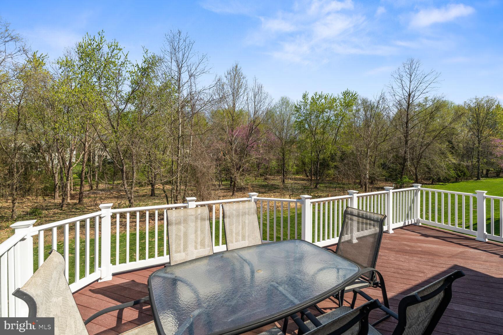 11308 Ridge Mist Terrace Potomac, MD 20854 - Photo 29 of 31 Ultimate Privacy in Park-Like Setting