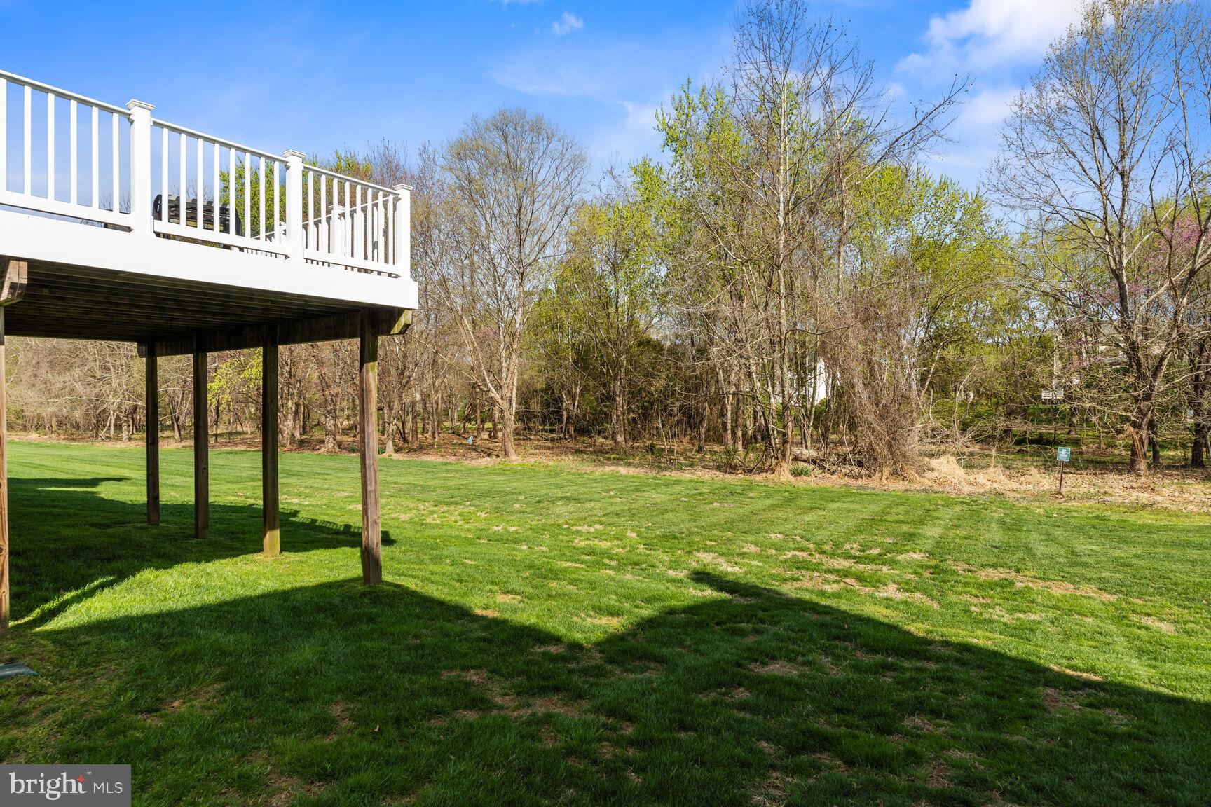 11308 Ridge Mist Terrace Potomac, MD 20854 - Photo 30 of 31 Tremendous Play Space for Outdoor Activities