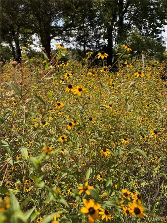 $350,000 | 30 County Road 6240, Salem, MO 65560