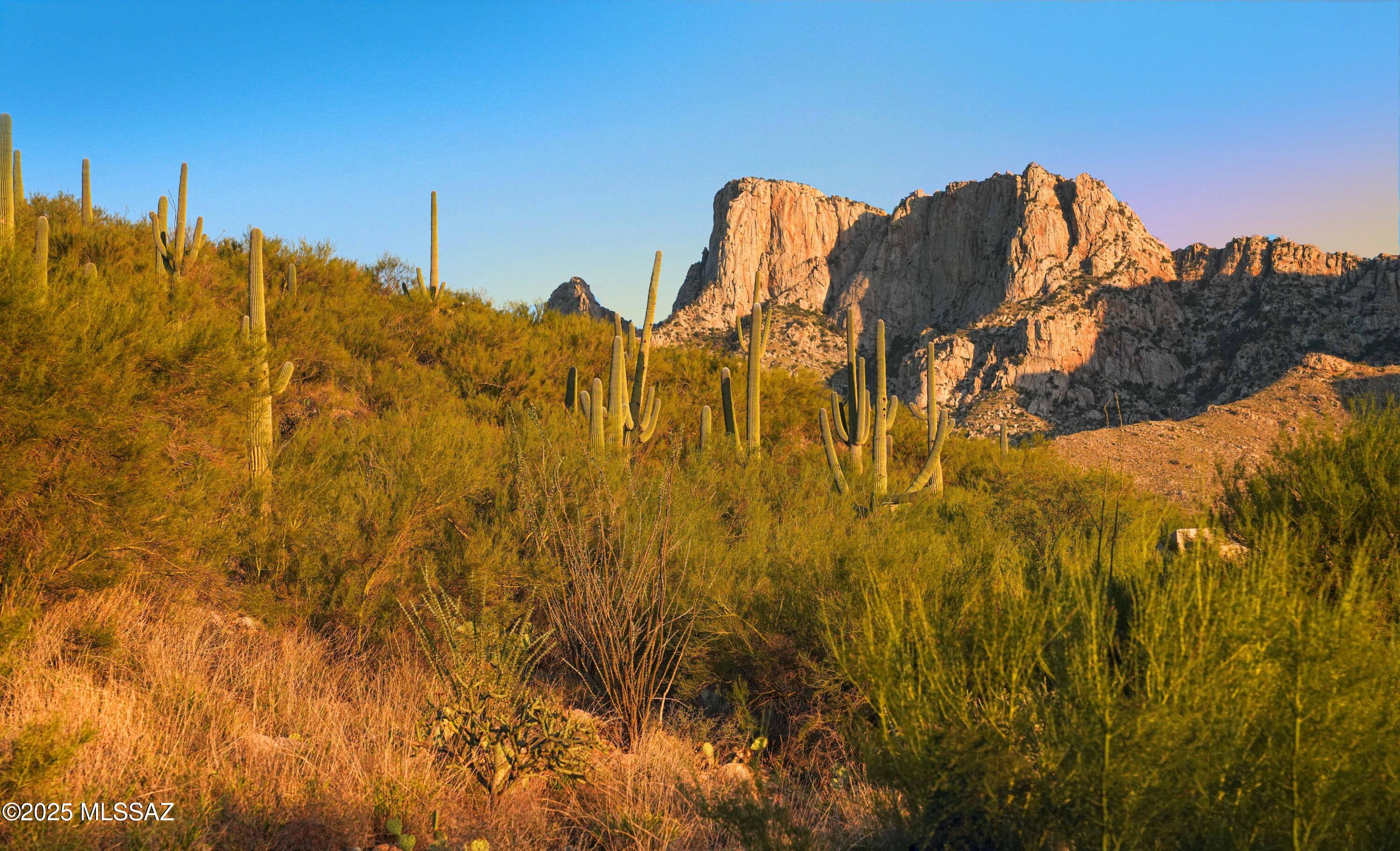 10576 Buck Ridge Drive, Unit 51 Tucson, AZ 85737 - Photo 1 of 20