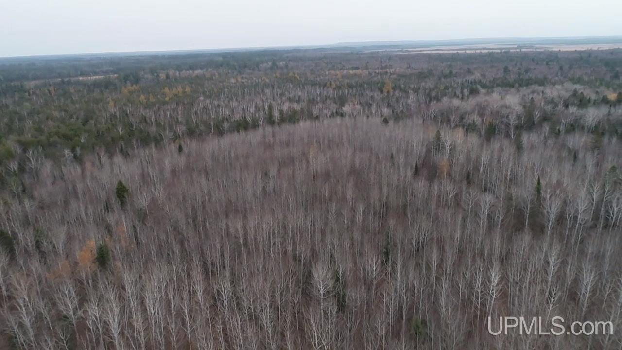 407 Rd Newberry Mi 49868 Road Newberry, MI 49868 - Photo 3 of 5