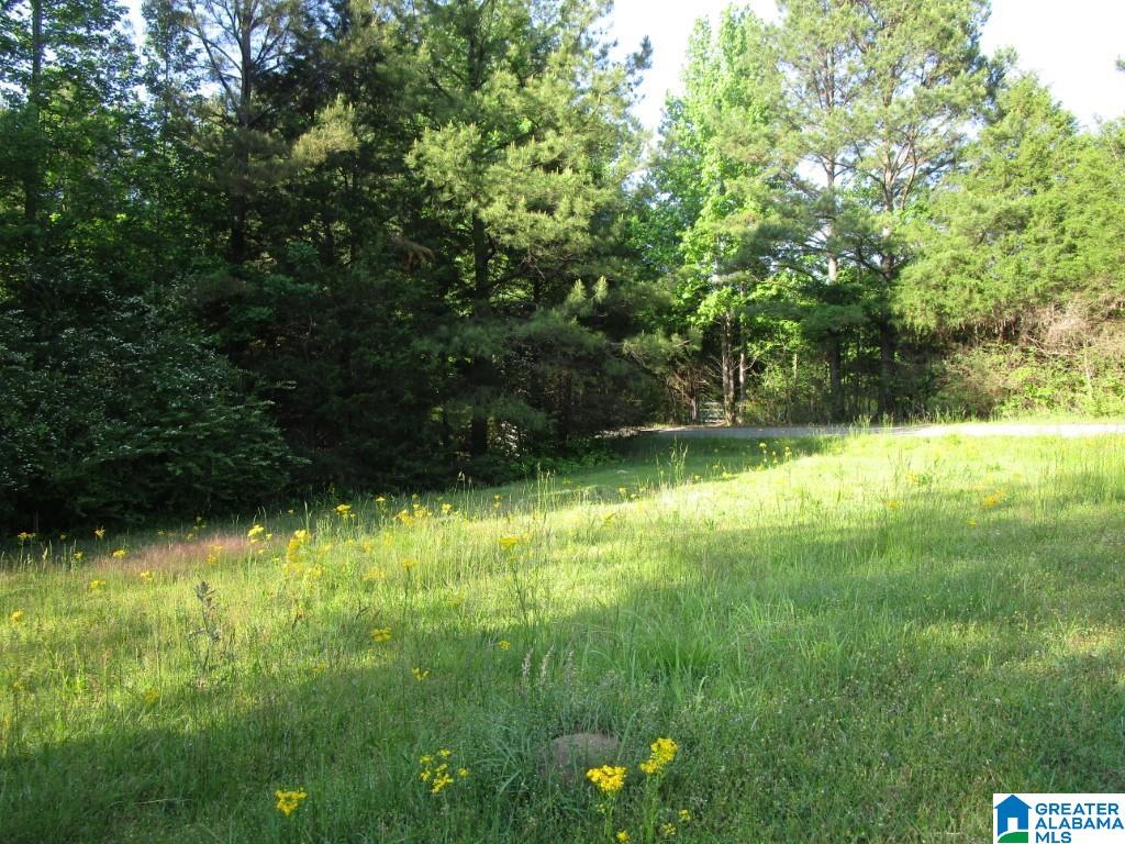 4956 Kings Mill Road Oakman, AL 35579 - Photo 20 of 27