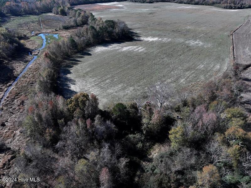 0 Wire Grass Road Lumberton, NC 28358 - Photo 4 of 22 DJI_20241203115308_0429_D