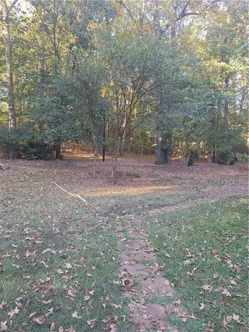 a view of a forest with trees in the background