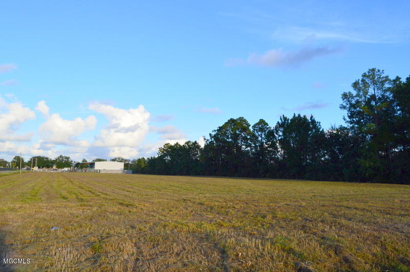 0 Riverten Road Gulfport, MS 39503 - Photo 5 of 5 DSC_0235