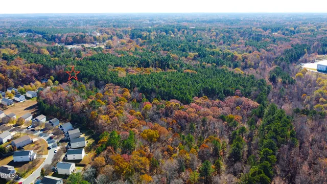 a view of a lush green forest with trees and some houses