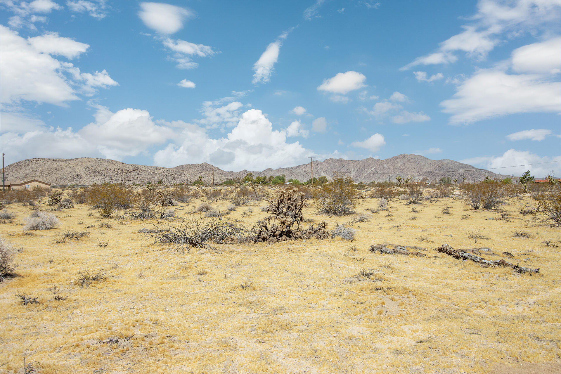 62585 2 Mile Road Joshua Tree, CA 92252 - Photo 58 of 66 img-4