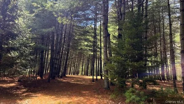 a view of outdoor space and tree
