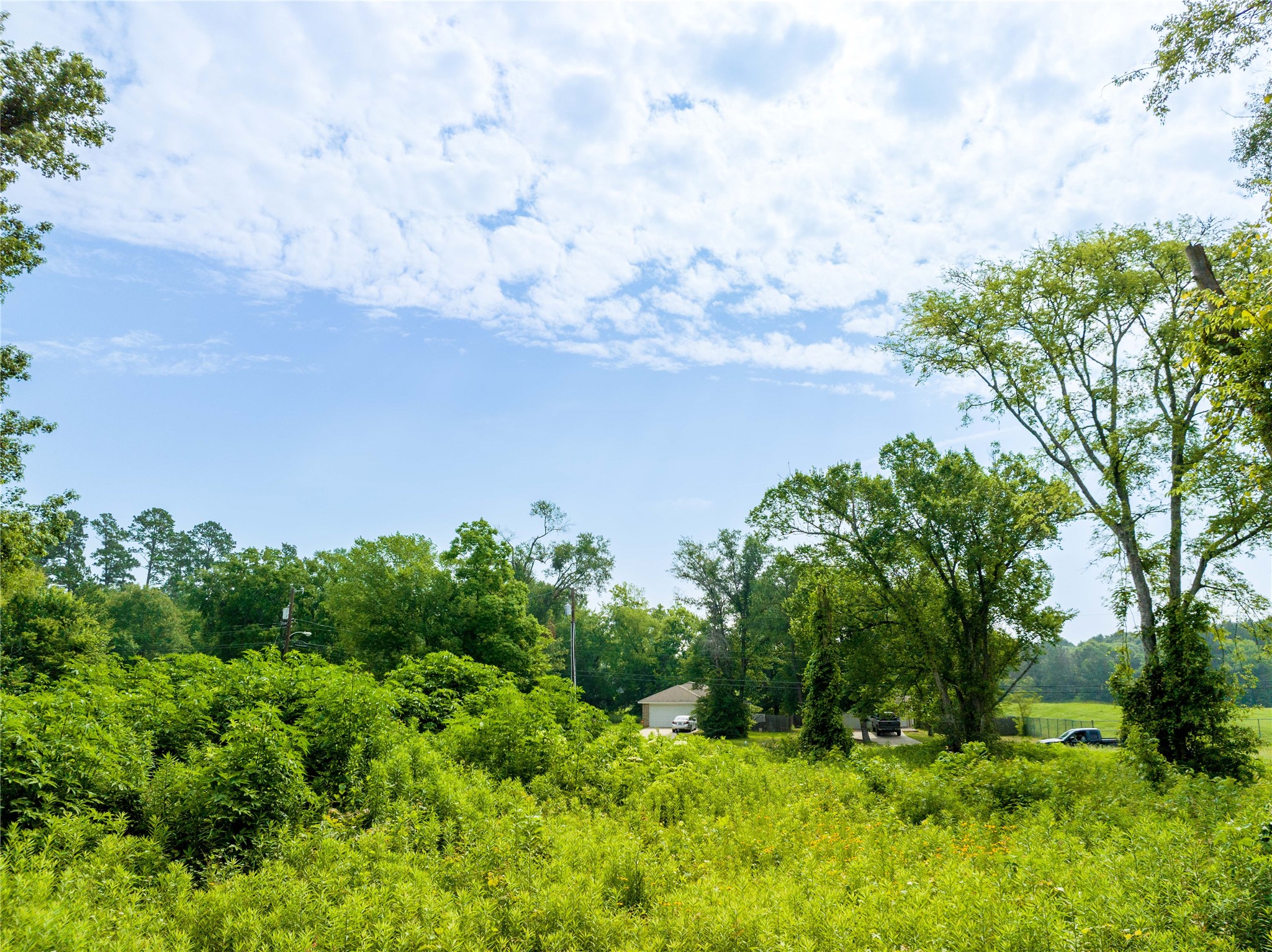 0 Tulane Drive Lufkin, TX 75901 - Photo 6 of 10 a view of a bunch of trees