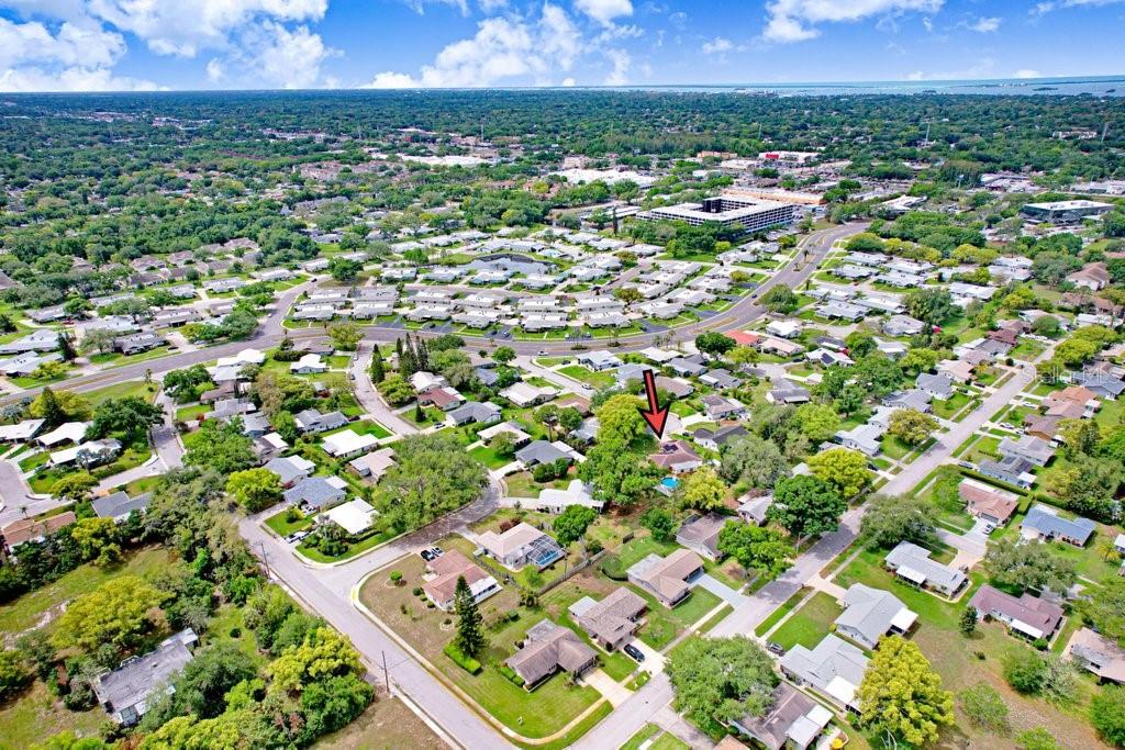 1632 Heather Place Palm Harbor, FL 34684 - Photo 14 of 53 a view of a city