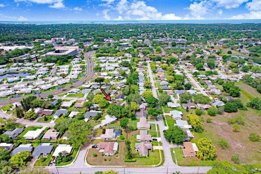 1632 Heather Place Palm Harbor, FL 34684 - Photo 15 of 53 a view of a city
