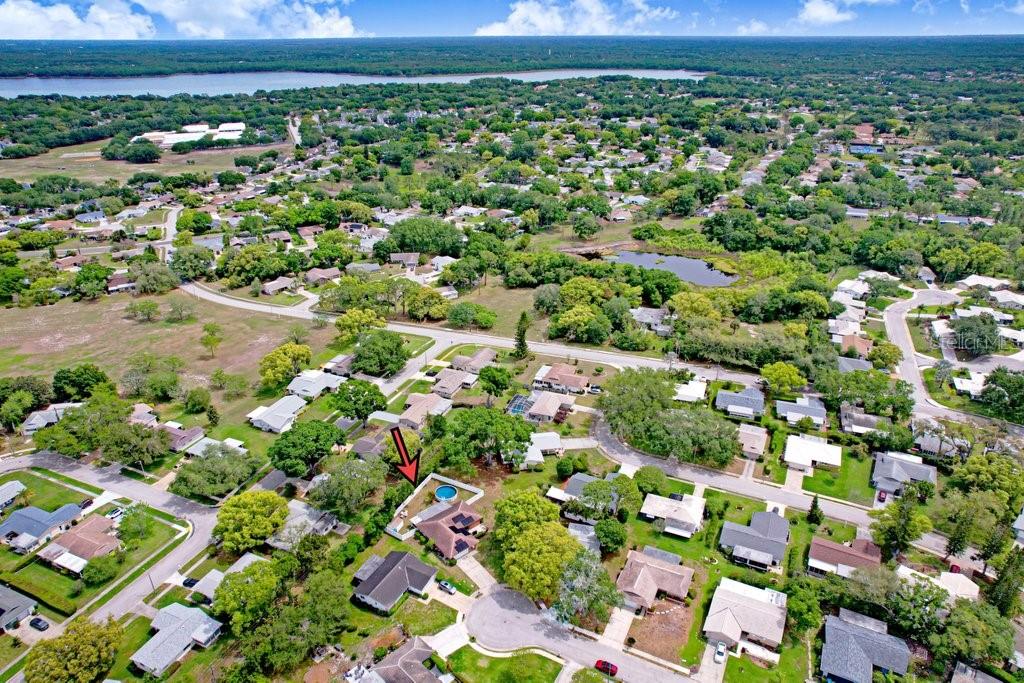 1632 Heather Place Palm Harbor, FL 34684 - Photo 18 of 53 a view of a city