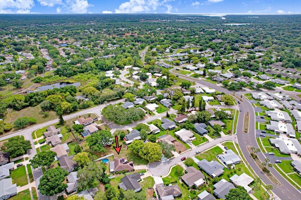 1632 Heather Place Palm Harbor, FL 34684 - Photo 20 of 53 a view of a city