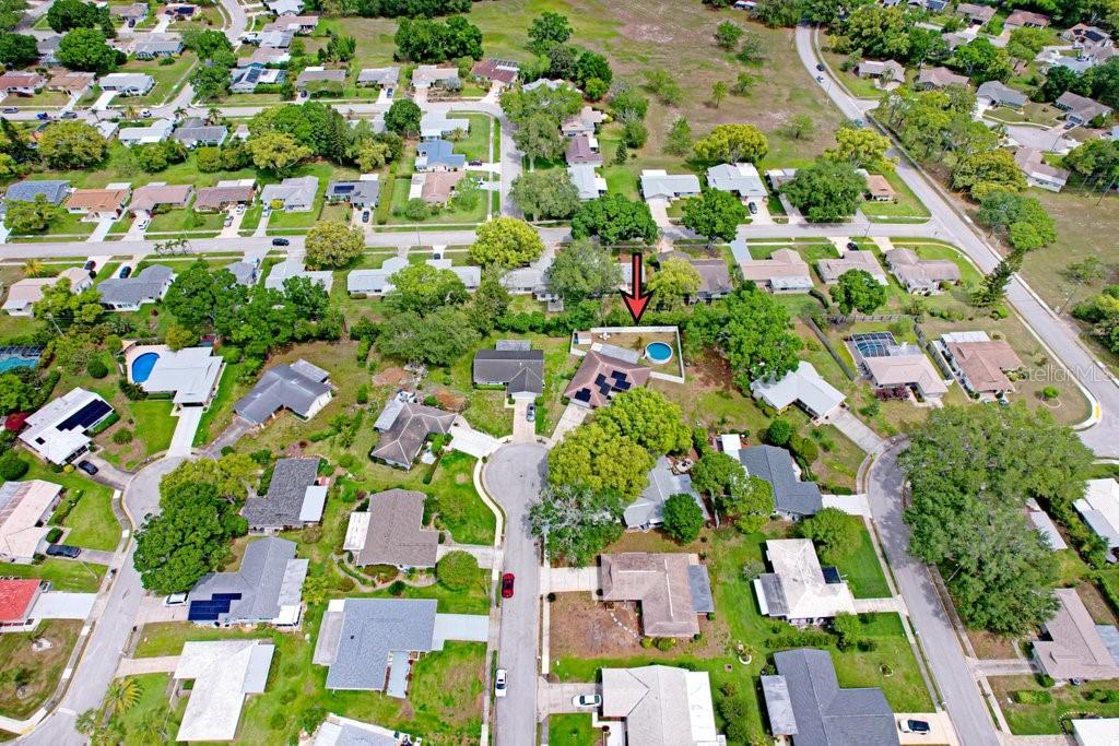 1632 Heather Place Palm Harbor, FL 34684 - Photo 21 of 53