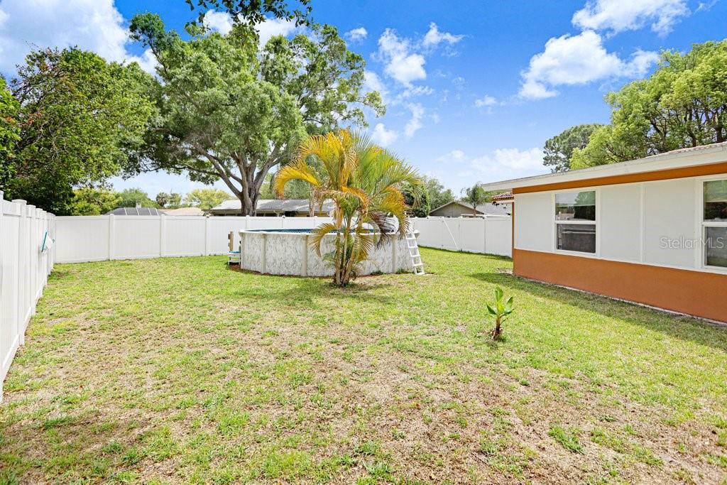 1632 Heather Place Palm Harbor, FL 34684 - Photo 47 of 53 a view of a backyard with a tree