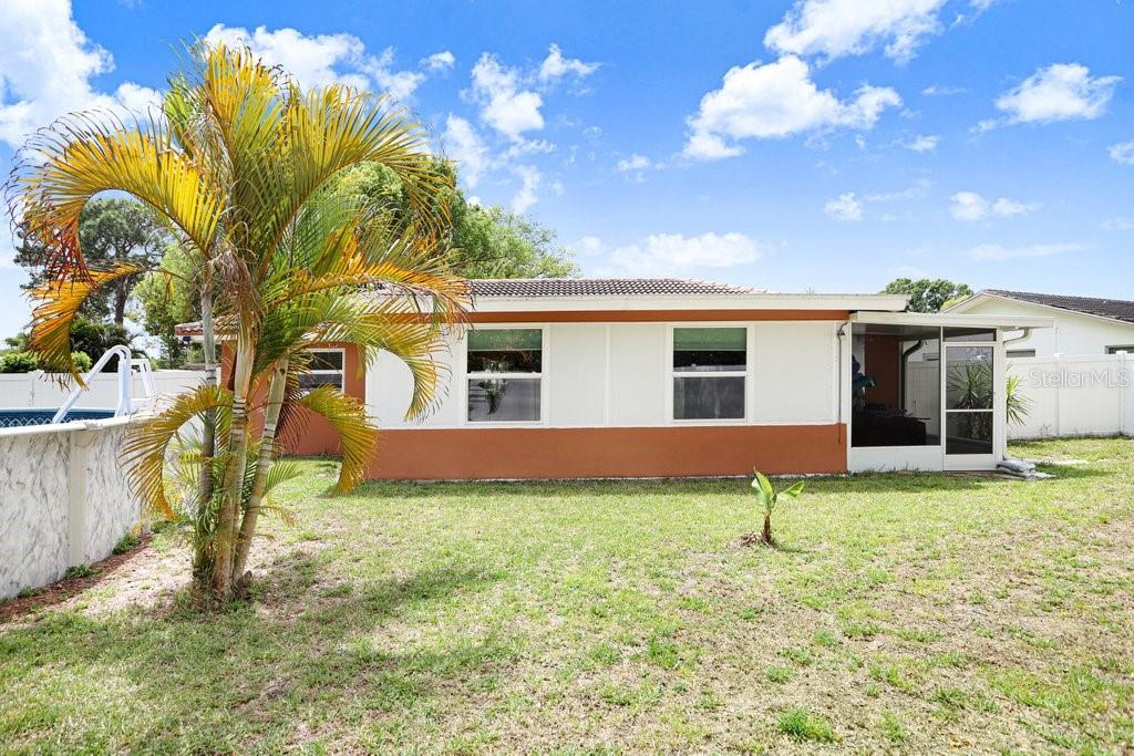 1632 Heather Place Palm Harbor, FL 34684 - Photo 51 of 53 a view of a house with a yard and tree