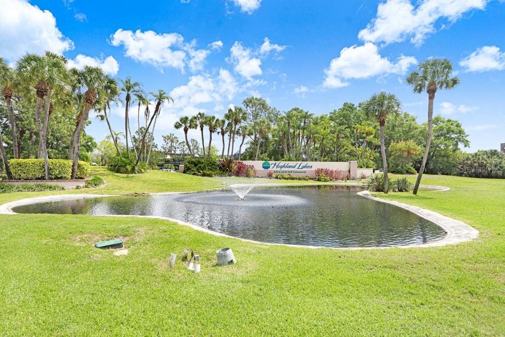 1632 Heather Place Palm Harbor, FL 34684 - Photo 52 of 53 a view of outdoor space yard and swimming pool