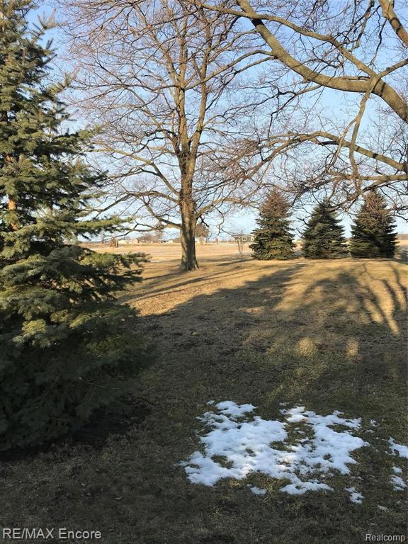 7352 Peet Road Chesaning, MI 48616 - Photo 4 of 50